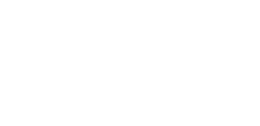 IMS Mayorista